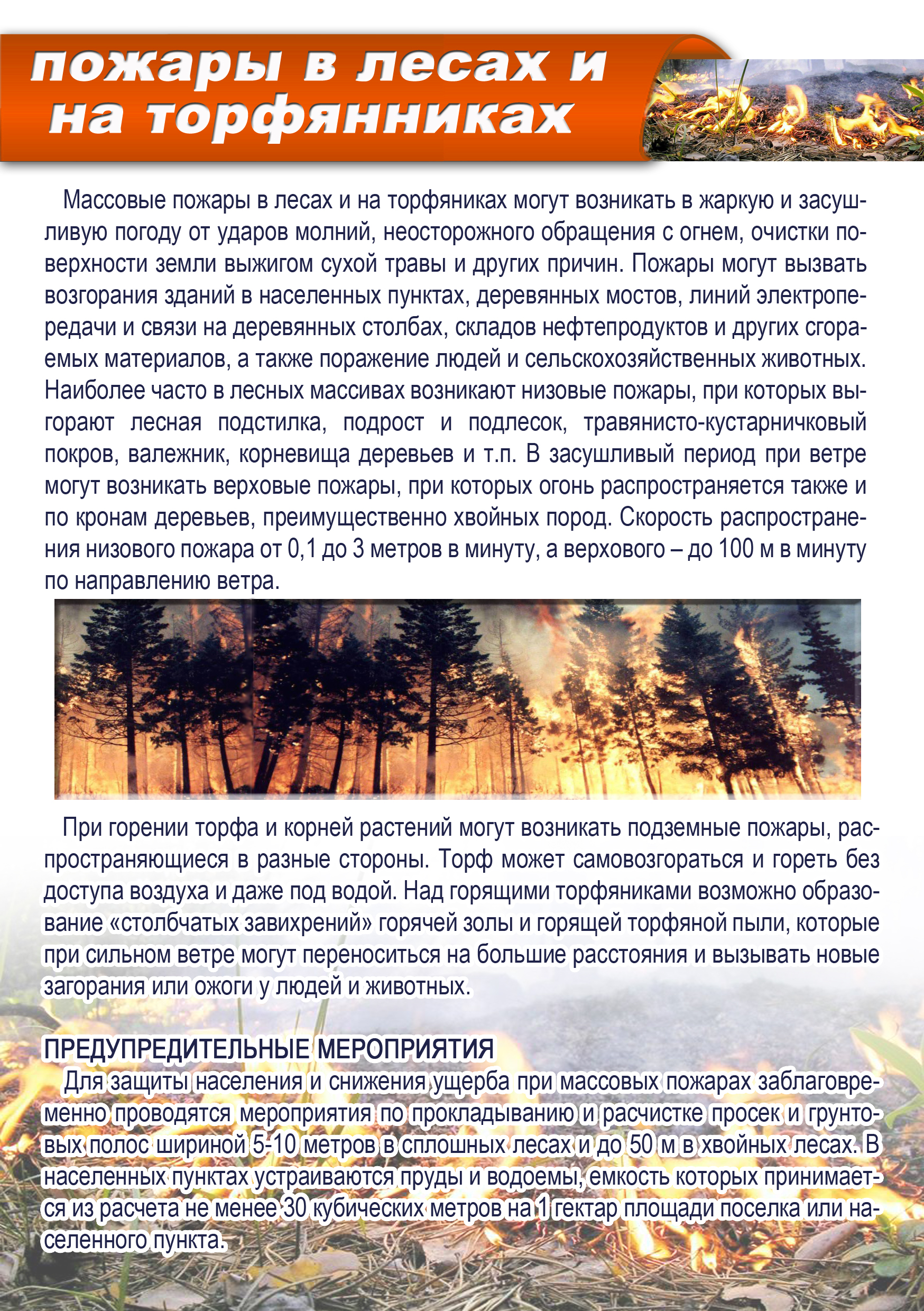 pamyatka-pojaryivlesaxinatorfyannikax-.jpg